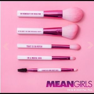 MEAN GIRLS ON WEDNESDAYS WE USE PINK BRUSHES